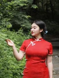 Side profile shot of a woman in a modern red midi qipao, gently touching leaves in a green forest. The classic high collar and white trim add timeless charm to this contemporary red qipao design.